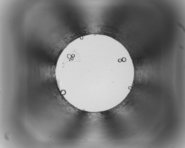 X0000103900525200810171617