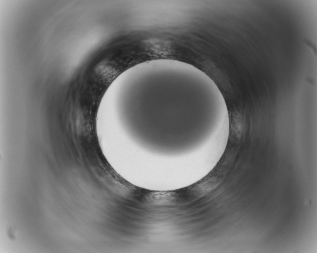 X0000103900526200810171617