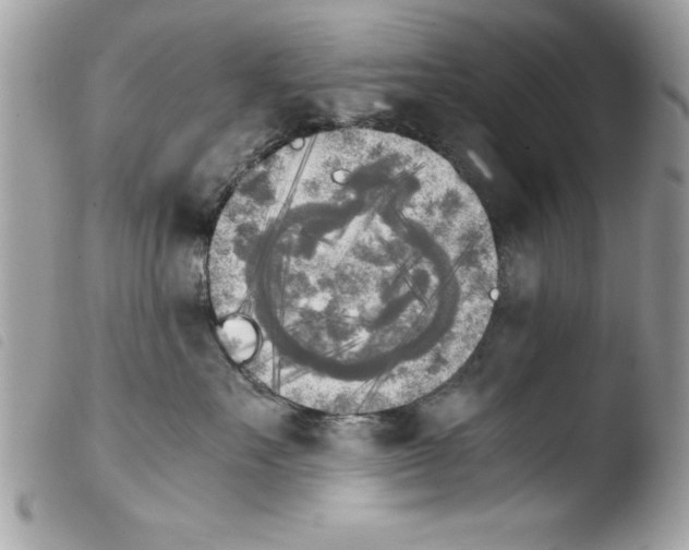 X0000103900527200810171617