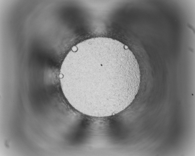 X0000103900528200810171617