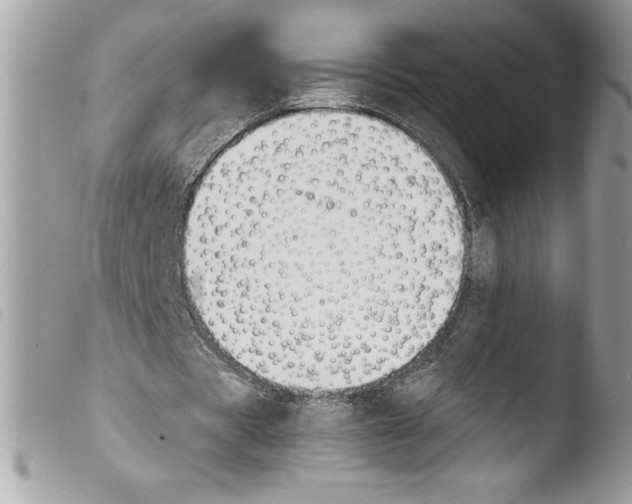 X0000103900529200810171616