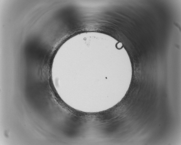 X0000103900530200810171616