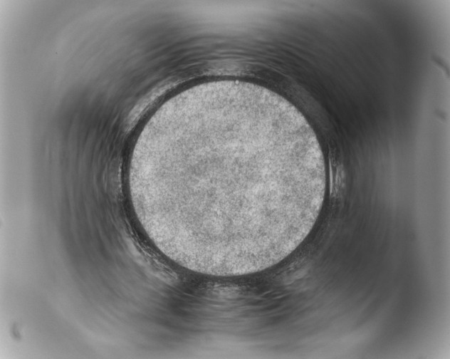 X0000103900531200810171616