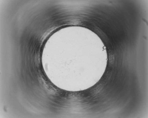 X0000103900532200810171616