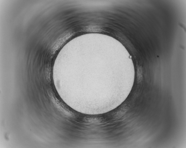 X0000103900533200810171616