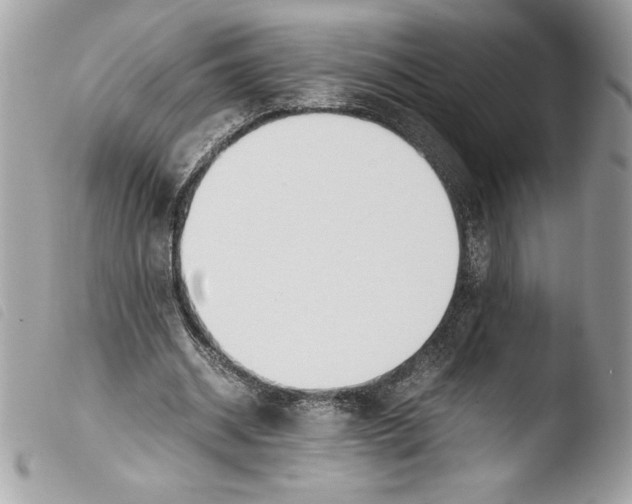 X0000103900534200810171616