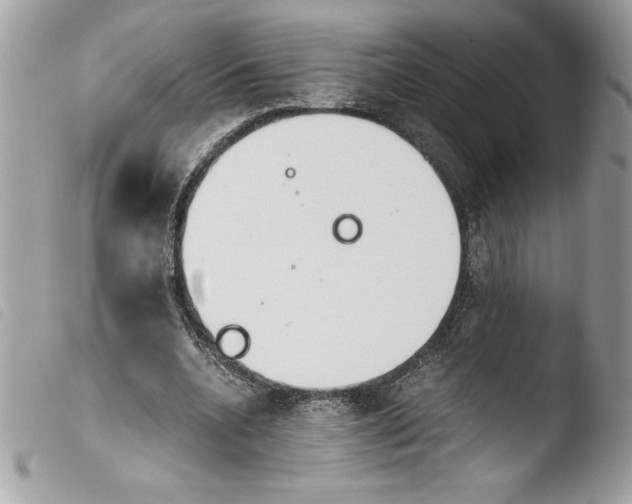 X0000103900536200810171616