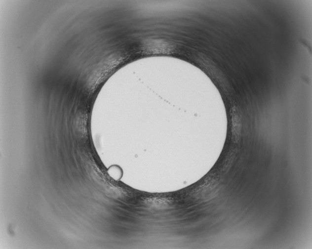 X0000103900537200810171616