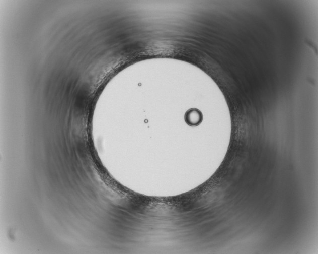 X0000103900538200810171616