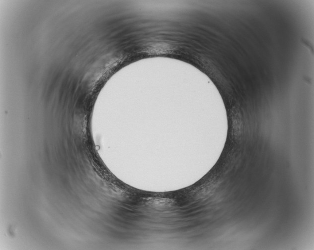 X0000103900539200810171616