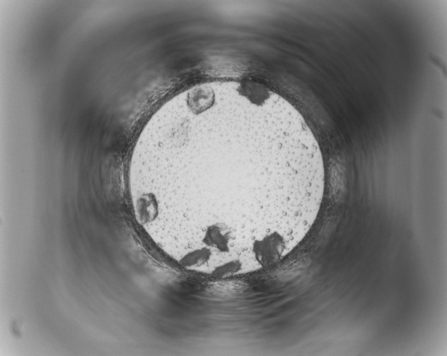 X0000103900541200810171616