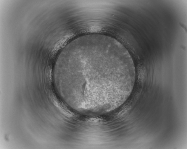 X0000103900542200810171616