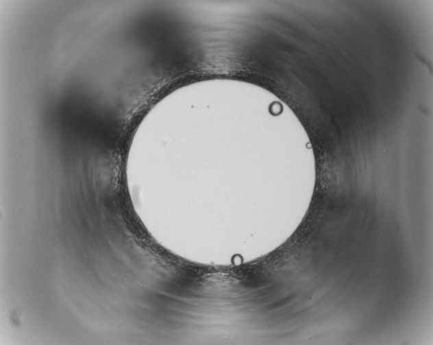 X0000103900544200810171616