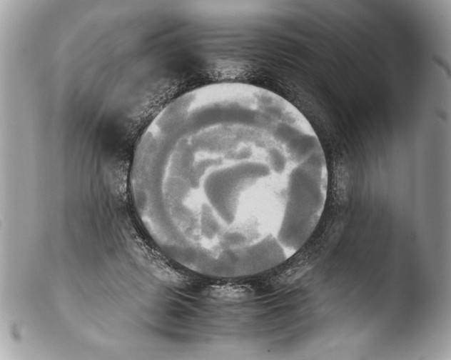 X0000103900545200810171616