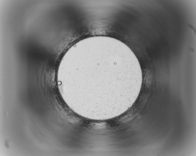 X0000103900548200810171616