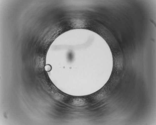 X0000103900549200810171616