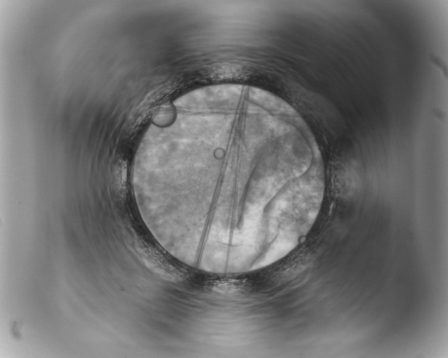 X0000103900550200810171616