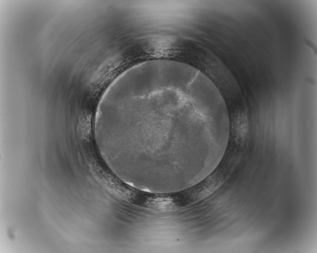 X0000103900554200810171616