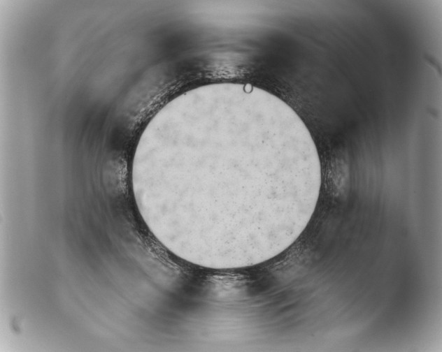 X0000103900556200810171616