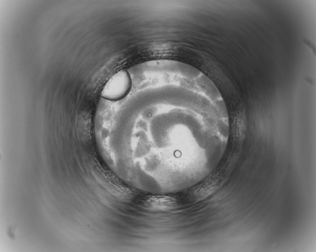 X0000103900557200810171616