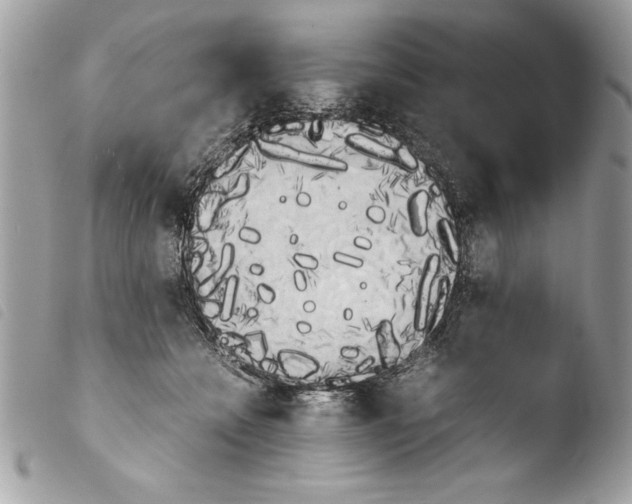 X0000103900558200810171617