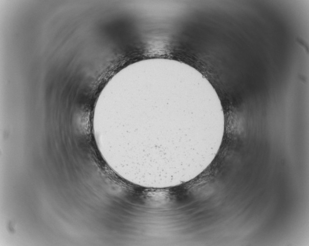 X0000103900560200810171617