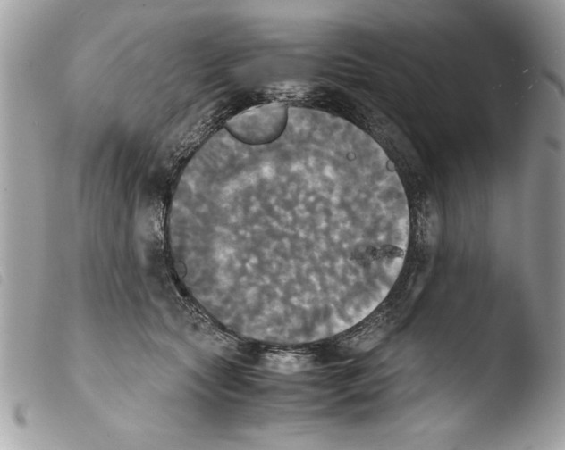 X0000103900561200810171617