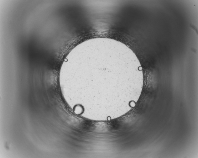 X0000103900562200810171617