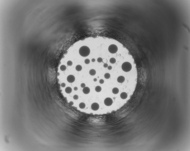 X0000103900563200810171617