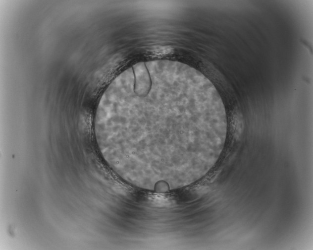 X0000103900565200810171617