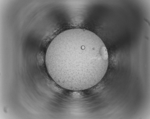 X0000103900566200810171617