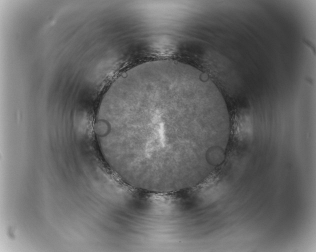 X0000103900568200810171617