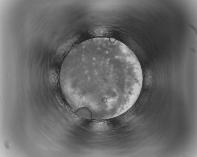 X0000103900569200810171617