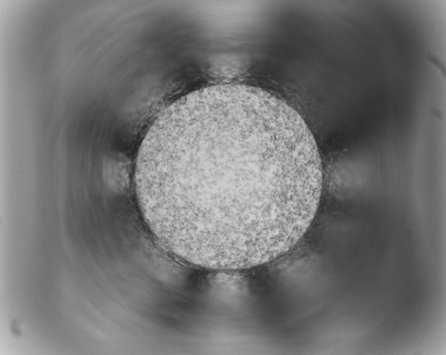 X0000103900570200810171617