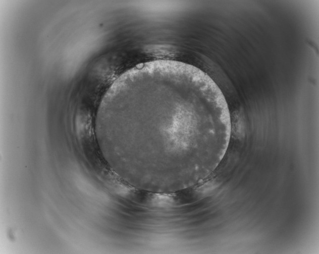 X0000103900573200810171617