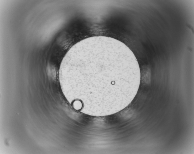 X0000103900574200810171617