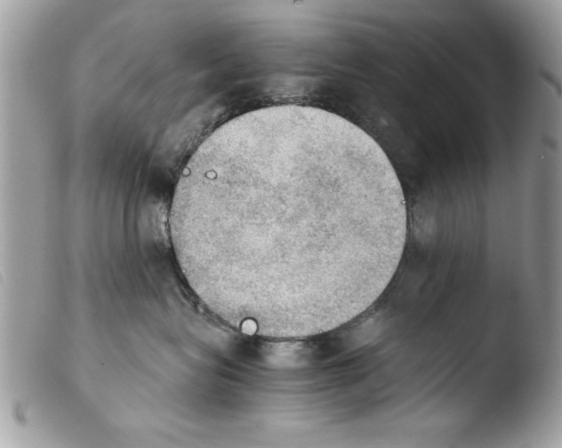 X0000103900575200810171617