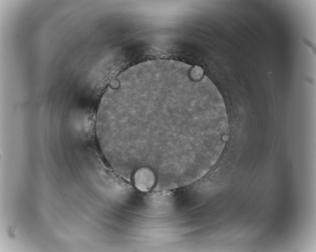 X0000103900576200810171617