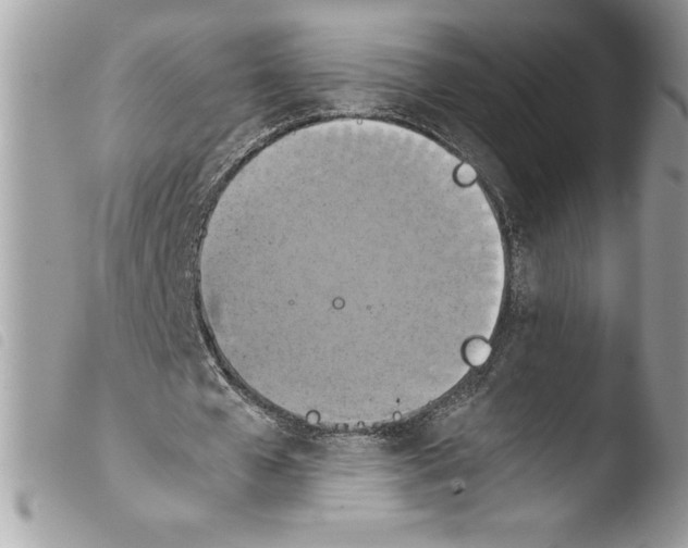 X0000103900577200810171616