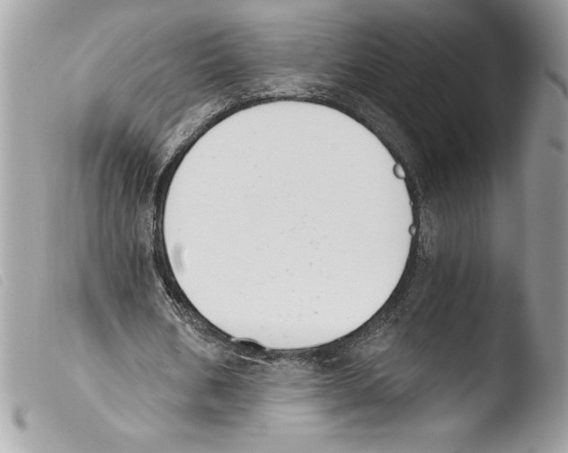 X0000103900578200810171616