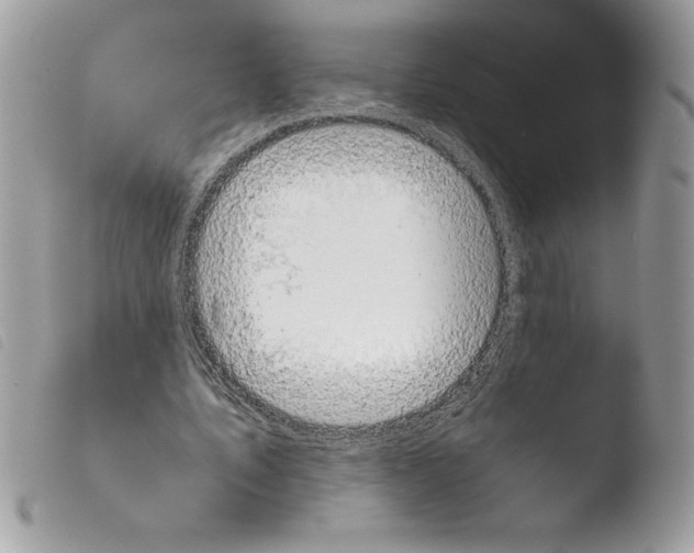 X0000103900579200810171616