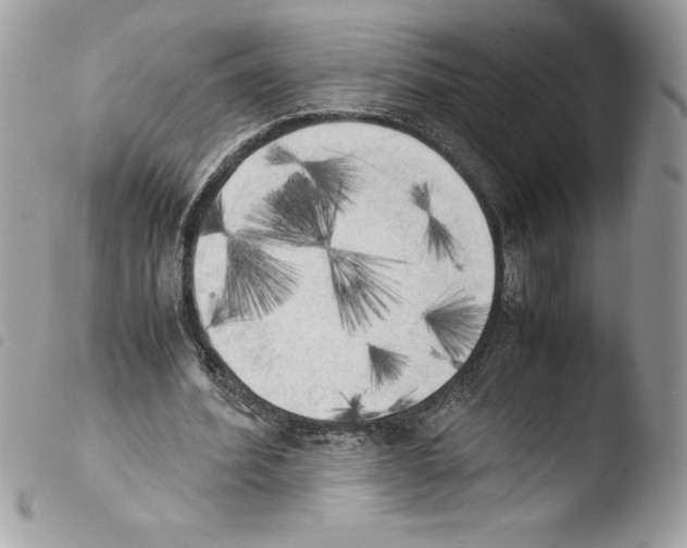 X0000103900580200810171616