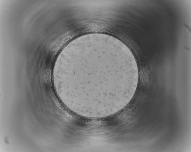 X0000103900581200810171616