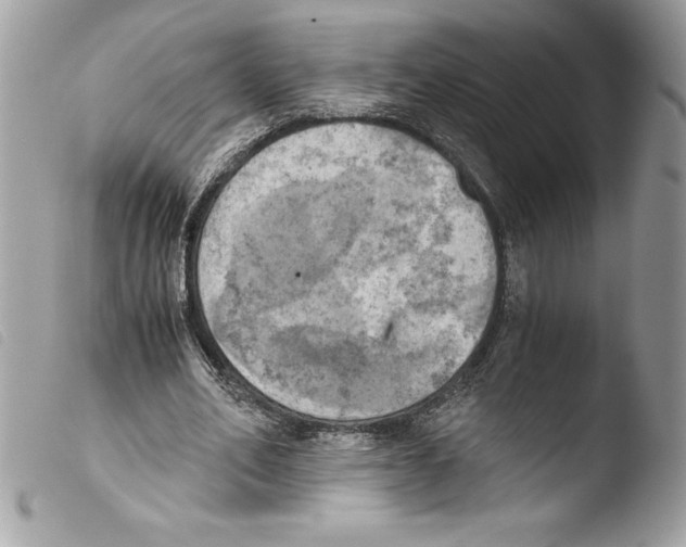 X0000103900582200810171616