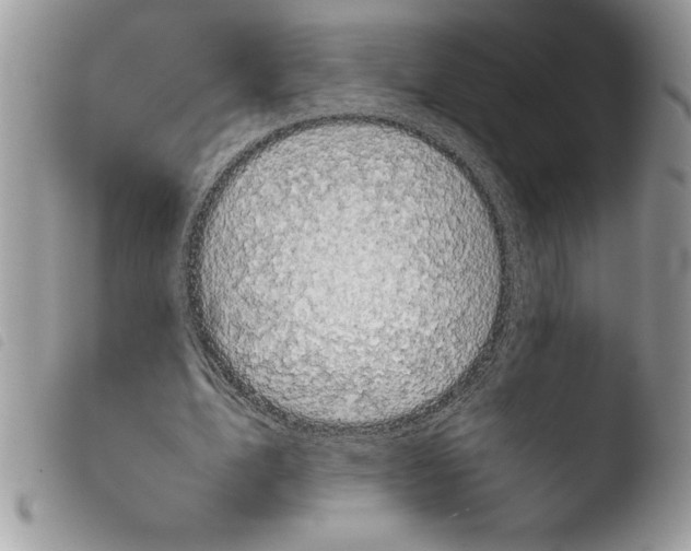 X0000103900583200810171616