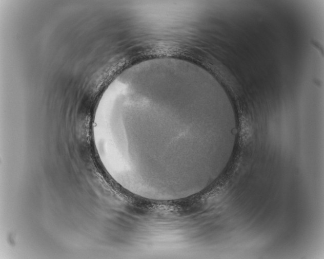 X0000103900585200810171616