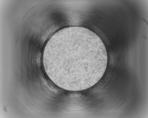 X0000103900586200810171616