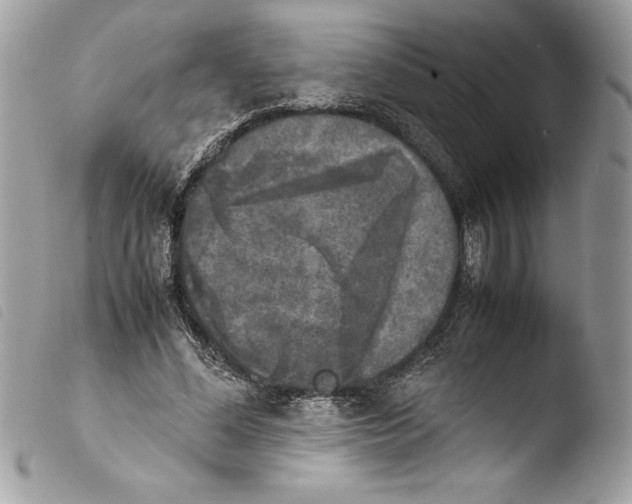 X0000103900588200810171616