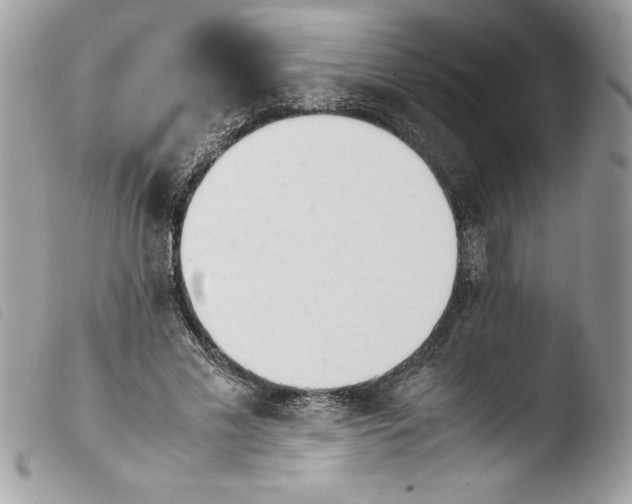 X0000103900589200810171616