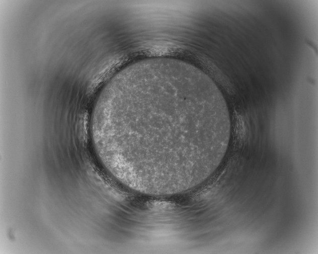 X0000103900590200810171616